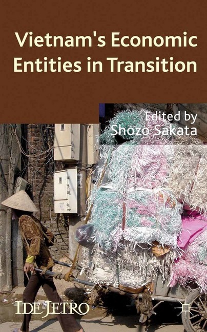 Vietnam's Economic Entities in Transition main product photo