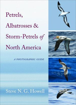 Petrels, Albatrosses, and Storm-Petrels of North America