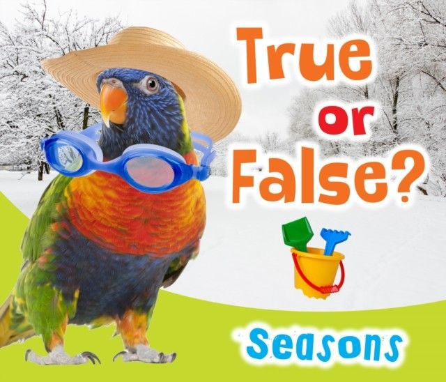True or False? Seasons main product photo