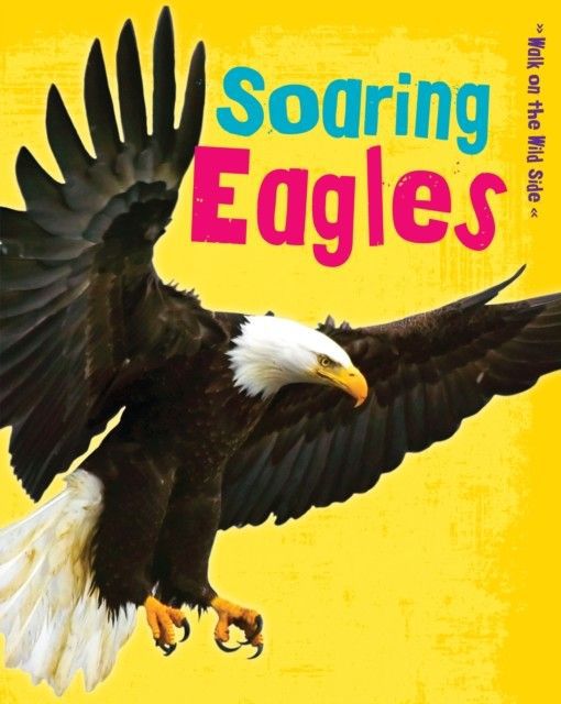 Soaring Eagles main product photo