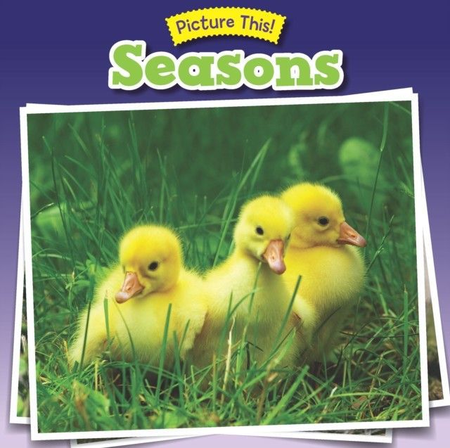Seasons main product photo