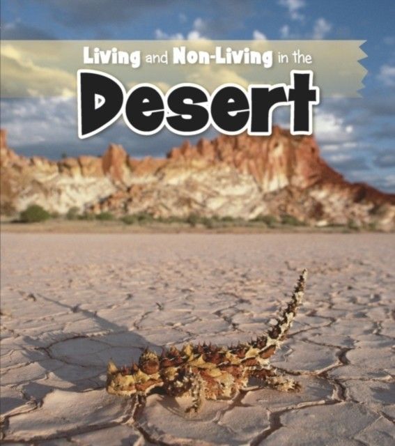 Living and Non-living in the Desert main product photo