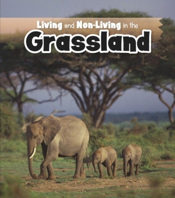 Living and Non-living in the Grasslands main product photo