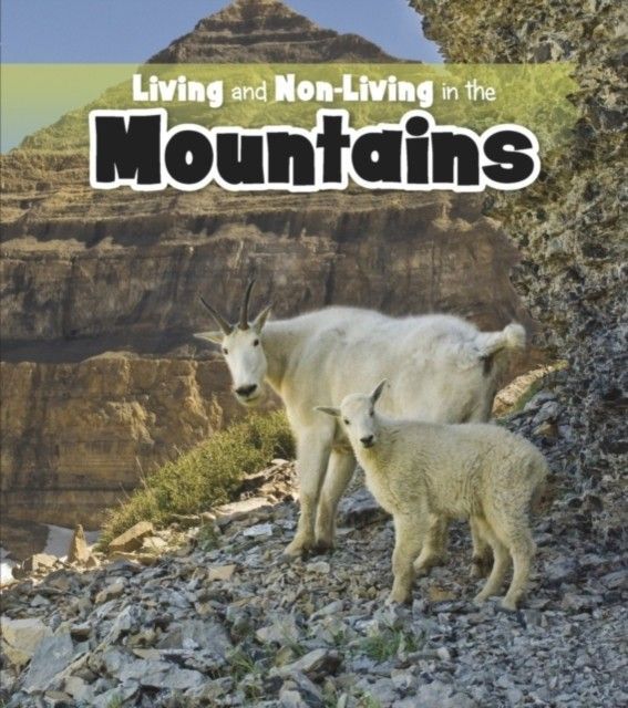 Living and Non-living in the Mountains main product photo