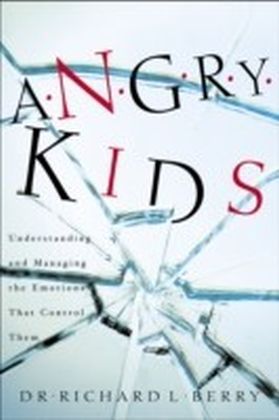 Angry Kids main product photo
