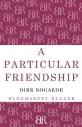 Particular Friendship