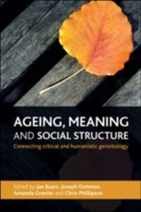 Ageing, meaning and social structure