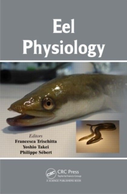 Eel Physiology main product photo