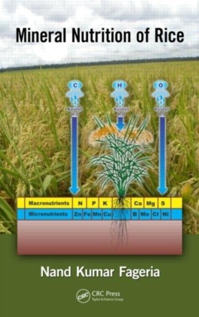 Mineral Nutrition of Rice main product photo