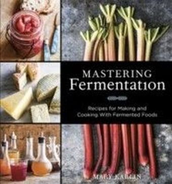 Mastering Fermentation main product photo