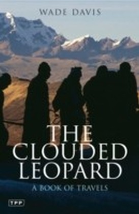 Clouded Leopard main product photo