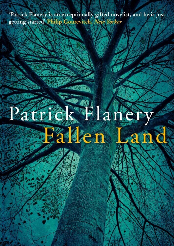 Fallen Land main product photo