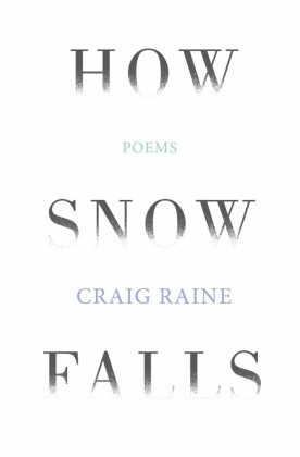 How Snow Falls