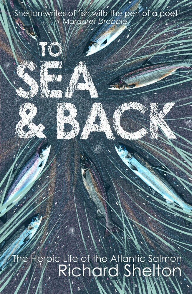 To Sea and Back main product photo