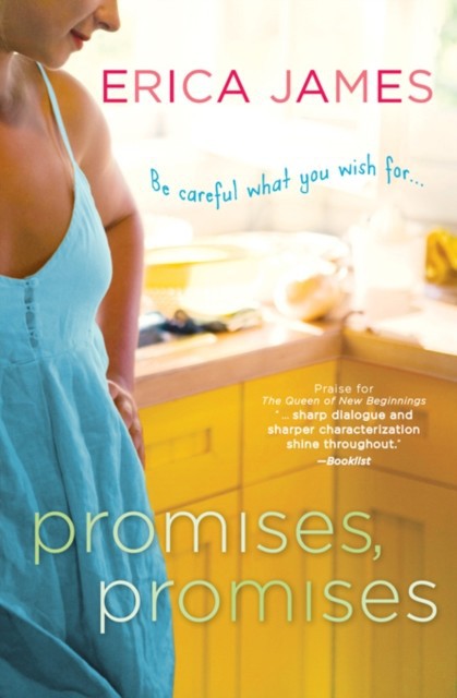 Promises, Promises main product photo