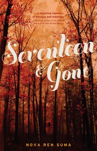 Seventeen & Gone main product photo