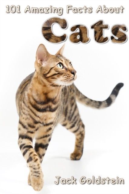 101 Amazing Facts About Cats main product photo