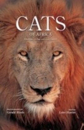 Cats of Africa