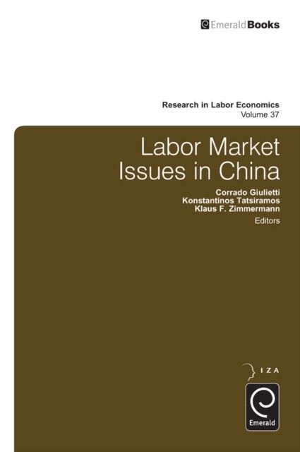 Labor Market Issues in China main product photo