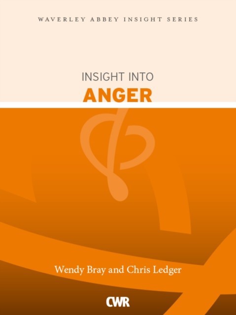 Insight into Anger main product photo