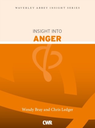 Insight into Anger