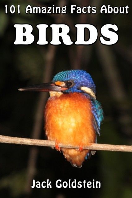 101 Amazing Facts About Birds main product photo
