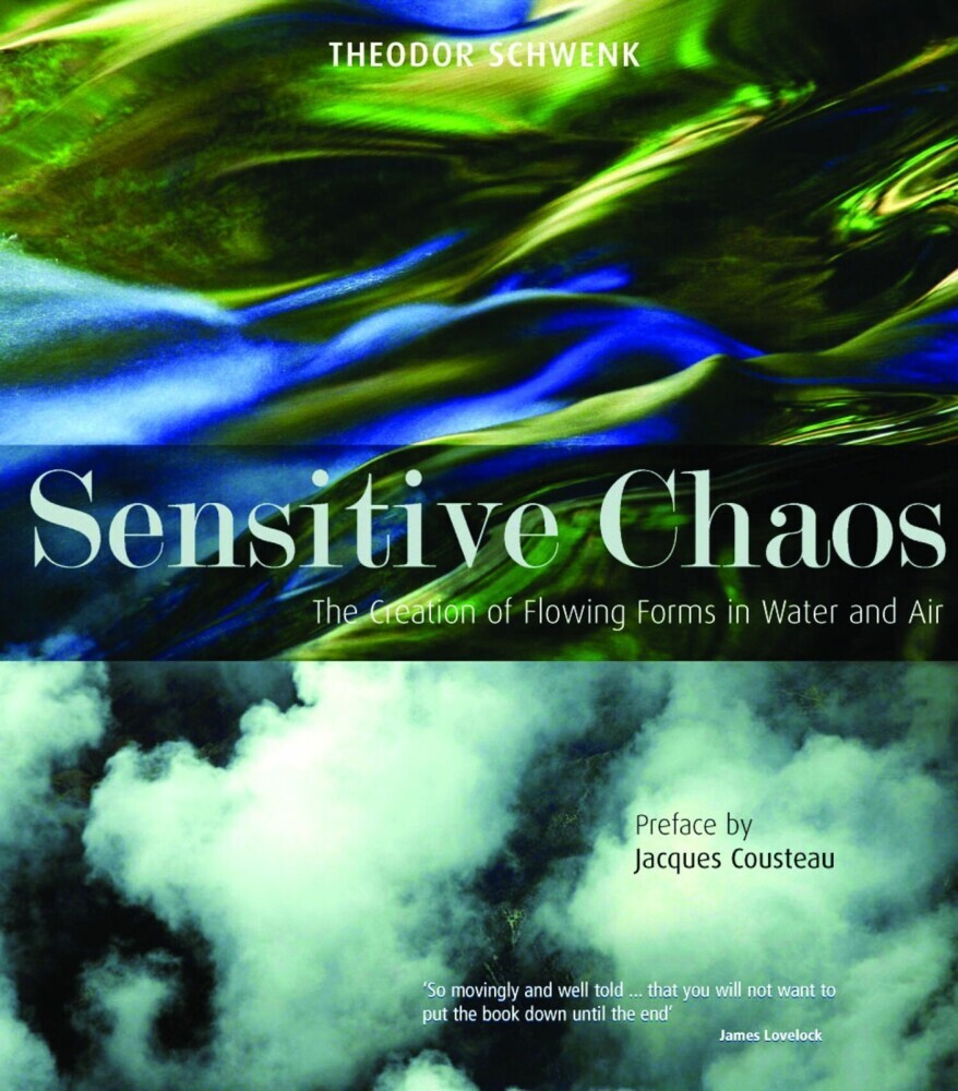 Sensitive Chaos main product photo
