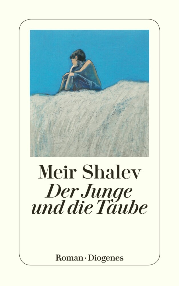 Der Junge und die Taube main product photo
