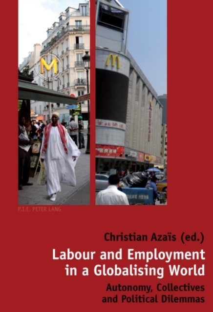 Labour and Employment in a Globalising World main product photo