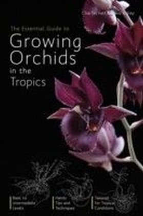 Essential Guide to Growing Orchids