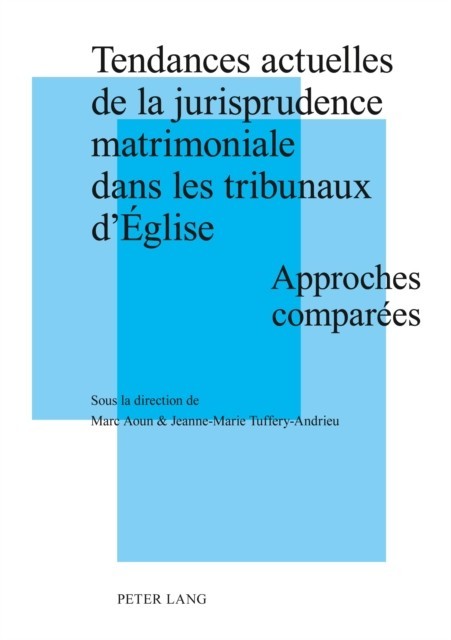 Tendances actuelles de la jurisprudence matrimoniale dans les tribunaux d'Eglise main product photo