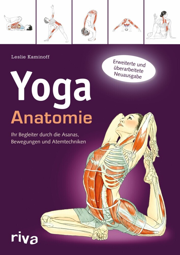 Yoga-Anatomie main product photo