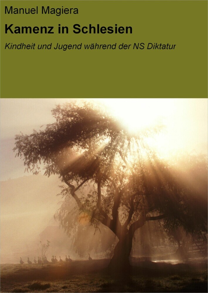 Kamenz in Schlesien main product photo