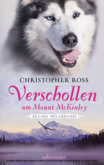 Alaska Wilderness - Verschollen am Mount McKinley (Bd. 1) main product photo