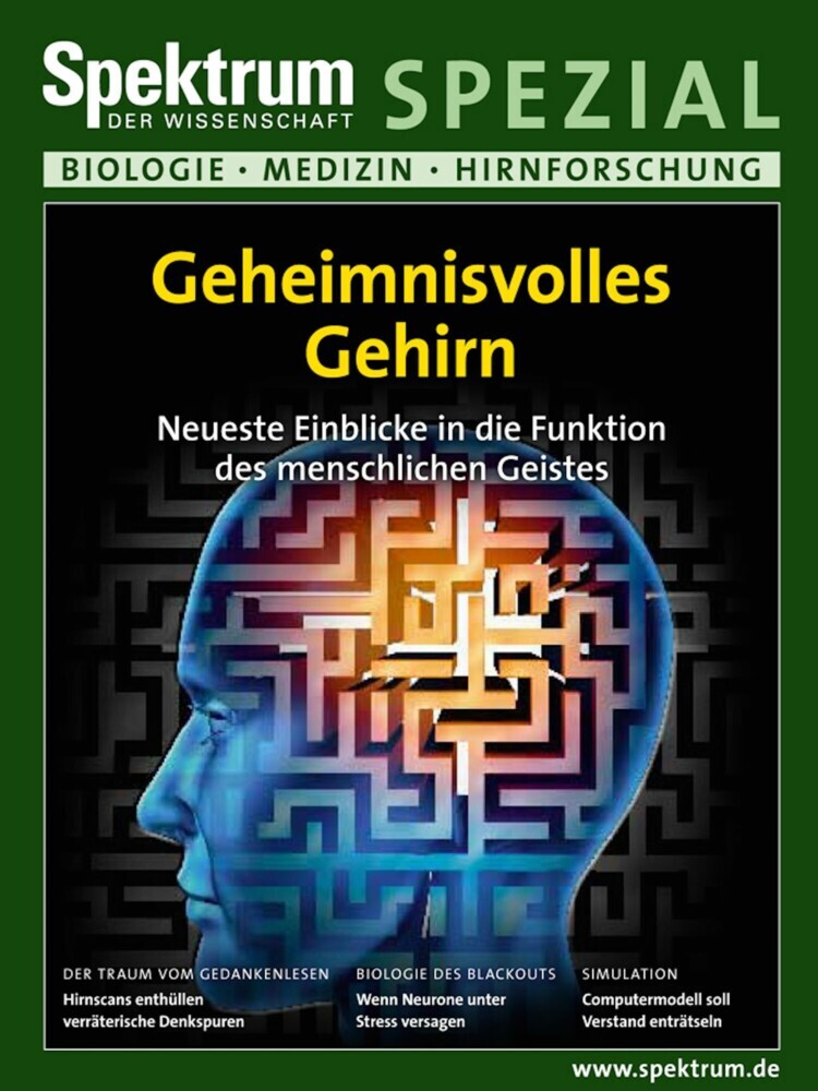 Geheimnisvolles Gehirn main product photo