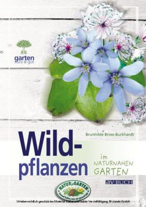 Wildpflanzen
