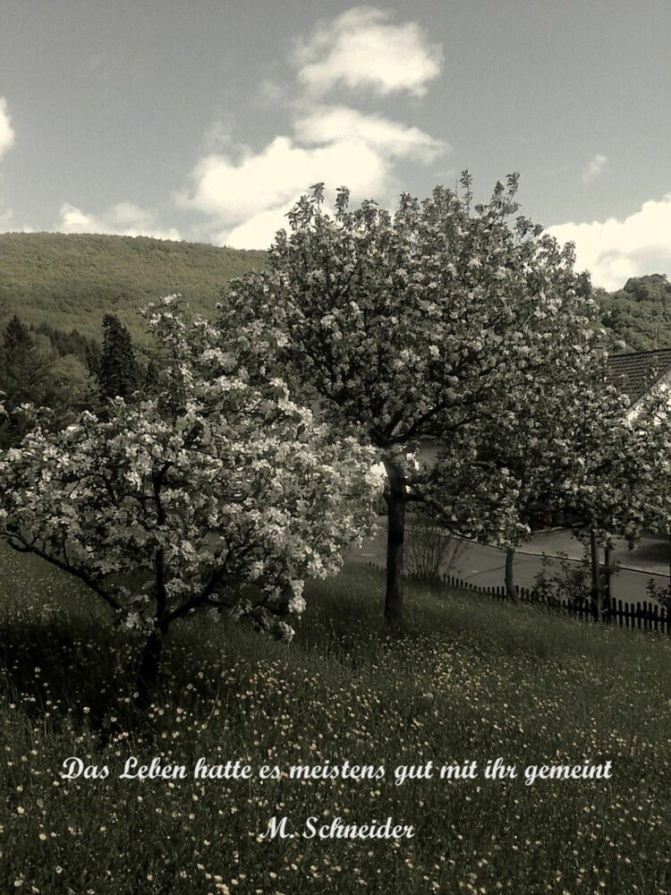 Das Leben hatte es meistens gut mit ihr gemeint main product photo