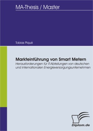 Markteinführung von Smart Metern - Herausforderungen für IT-Abteilungen von deutschen und internationalen Energieversorgungsunternehmen