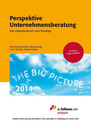 Perspektive Unternehmensberatung 2014
