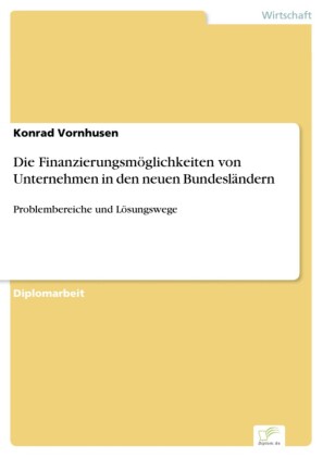 Die Finanzierungsmöglichkeiten von Unternehmen in den neuen Bundesländern