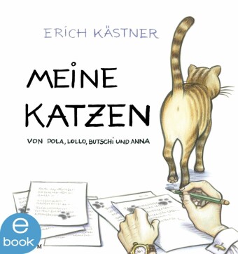 Meine Katzen