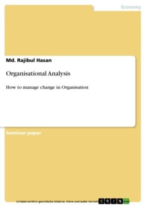 Organisational Analysis
