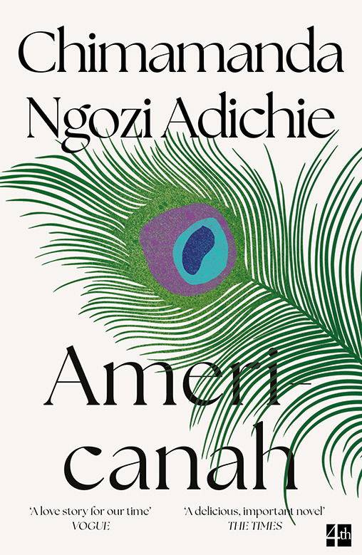 Americanah main product photo