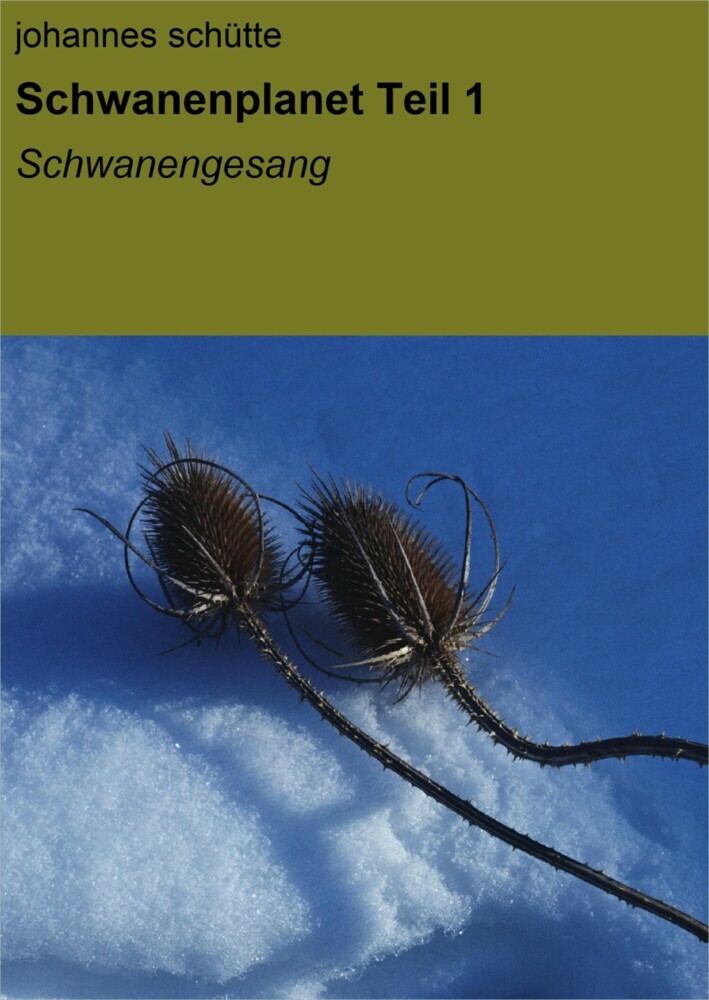 Schwanenplanet main product photo