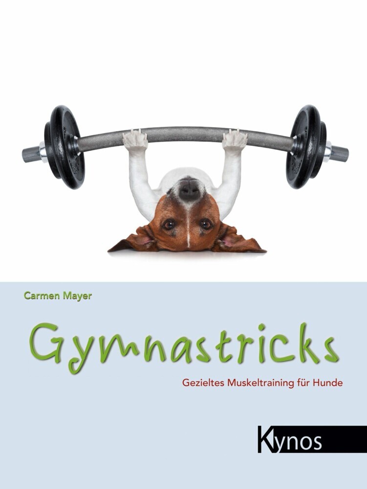 Gymnastricks main product photo