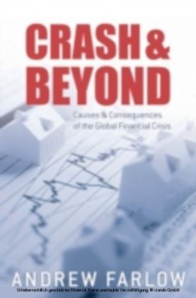 Crash and Beyond: Causes and Consequences of the Global Financial Crisis