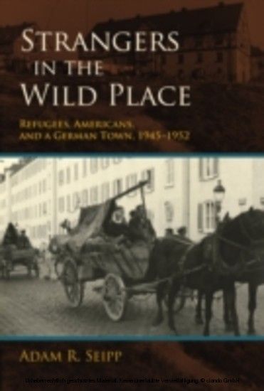 Strangers in the Wild Place main product photo