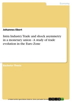 Intra Industry Trade and shock asymmetry in a monetary union - A study of trade evolution in the Euro Zone