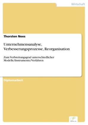Unternehmensanalyse, Verbesserungsprozesse, Reorganisation