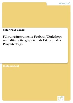 Führungsinstrumente Feeback, Workshops und Mitarbeitergespräch als Faktoren des Projekterfolgs